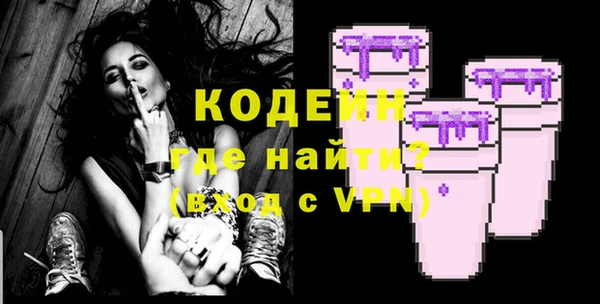 индика Абаза