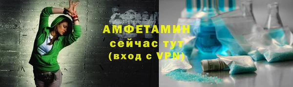сатива Сатка