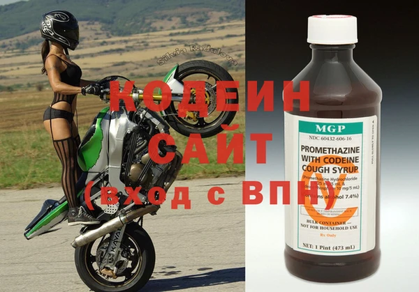 индика Абаза