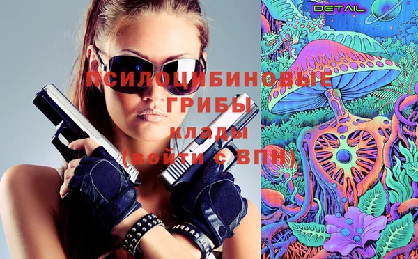 сатива Сатка