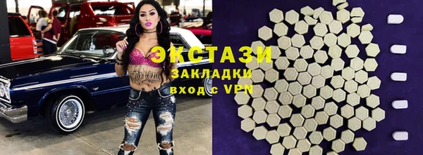 индика Абаза