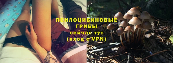 индика Абаза
