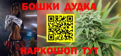 шишки Дубна