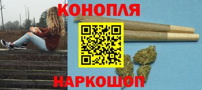 шишки Дубна