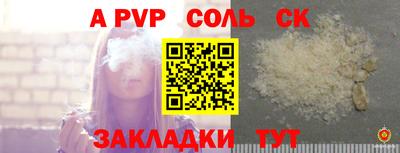 шишки Дубна