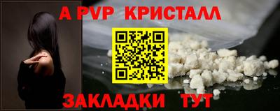 шишки Дубна