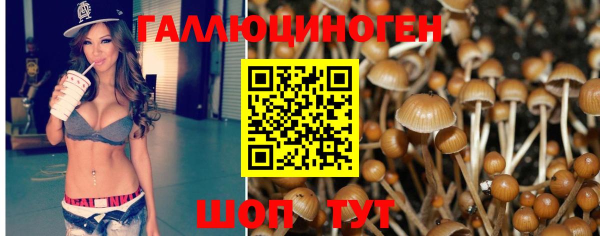 Псилоцибиновые грибы Psilocybine cubensis Костомукша